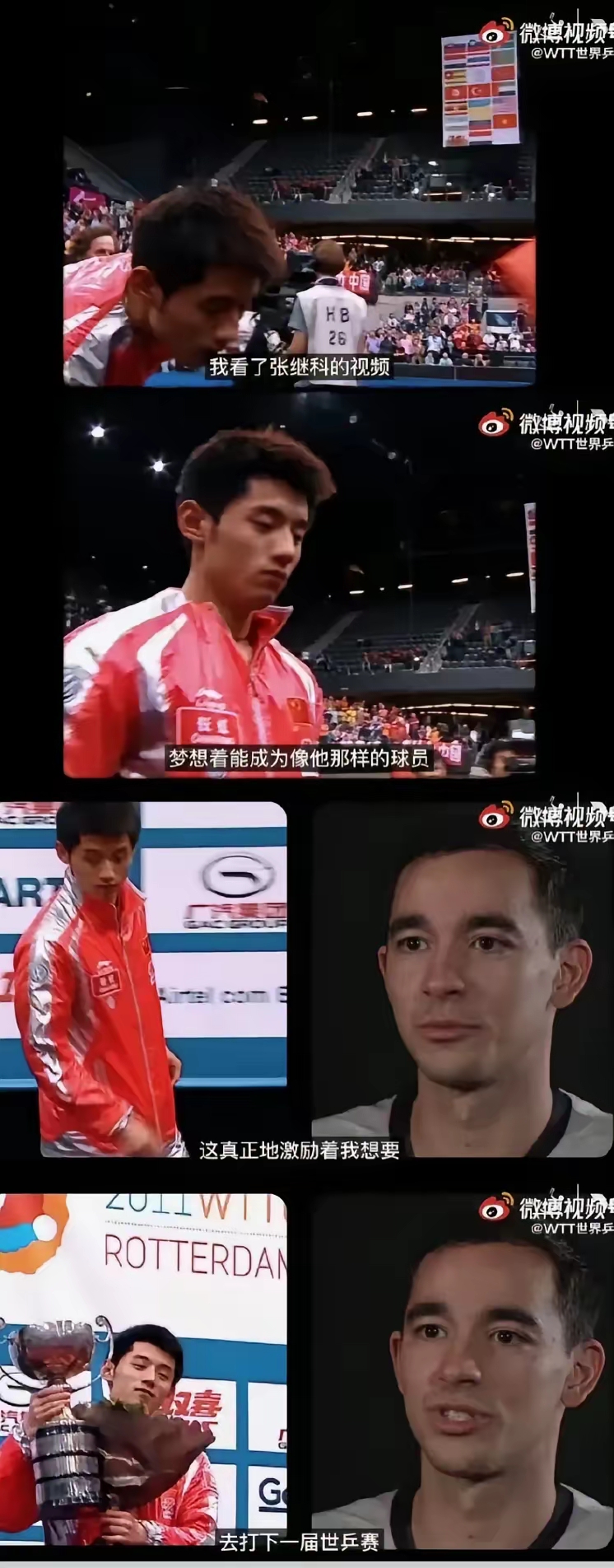 包含比利时乒乓球队强势日本乒乓球队,张继科关键制胜的词条 包含比利时乒乓球队强势日本乒乓球队,张继科关键制胜的词条