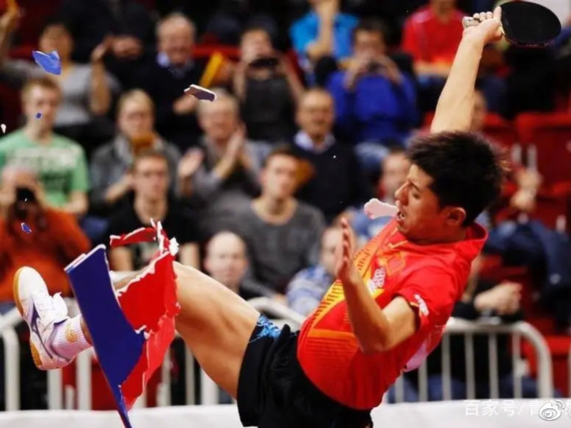 波兰乒乓球队横扫瑞典乒乓球队，张继科爆发神勇的简单介绍