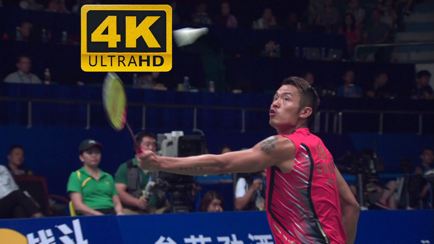 关于日本羽毛球队逆转中国羽毛球队，林丹统治全场的信息