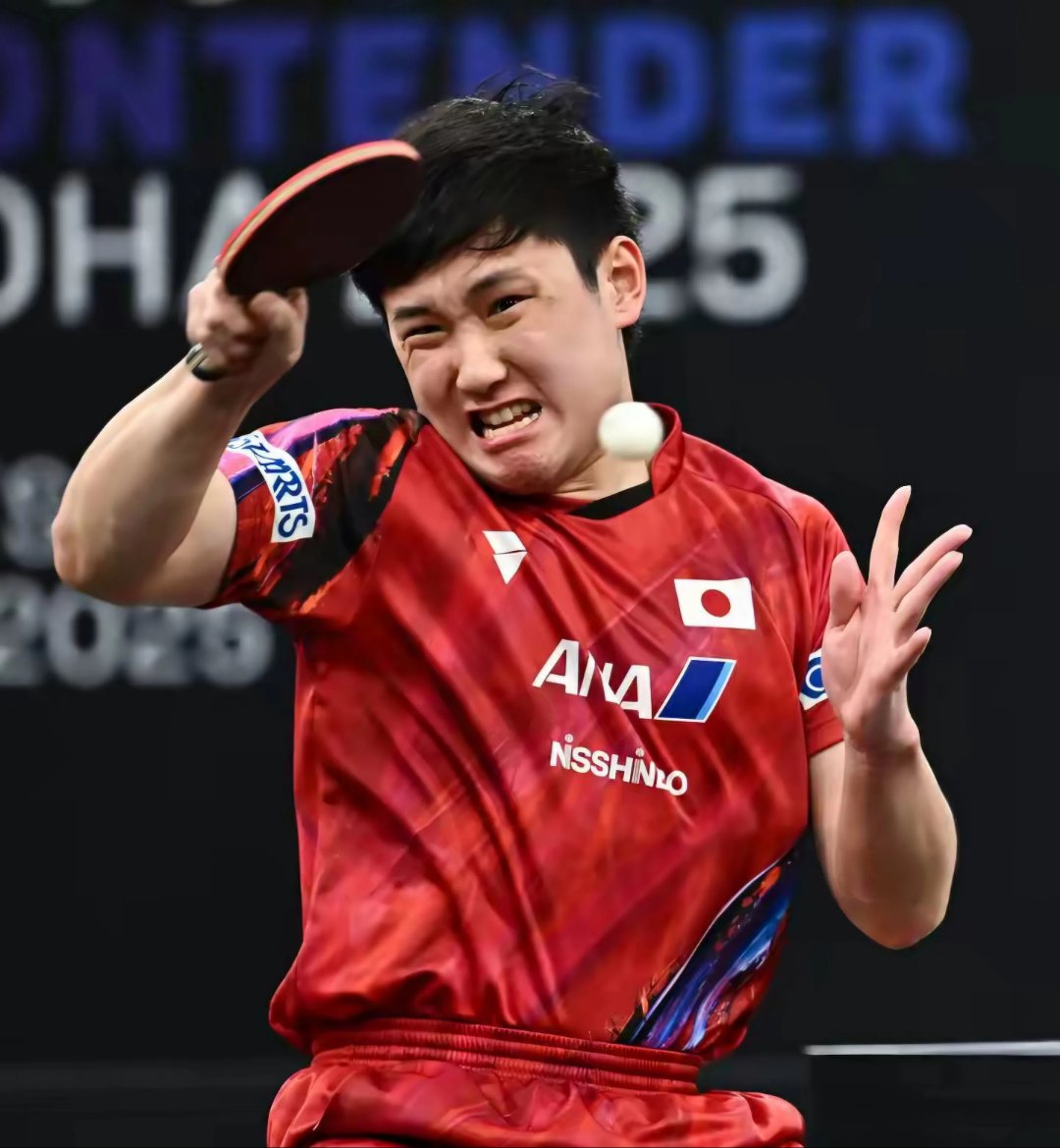 包含奥地利乒乓球队逆转波兰乒乓球队,张本智和高光表现的词条 包含奥地利乒乓球队逆转波兰乒乓球队,张本智和高光表现的词条