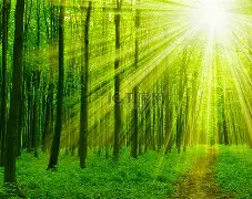 阳光之火再明煌，桑普多塞恶耿