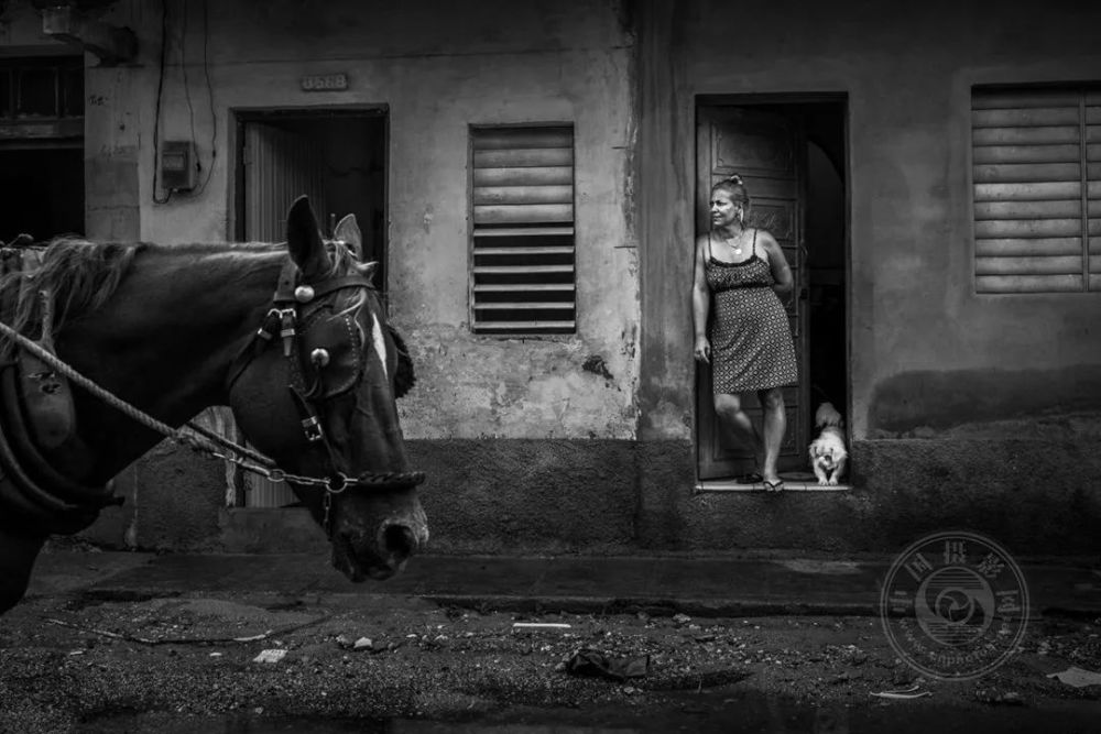 关于越南逆袭晋级，俄罗斯遭遇波黑的信息