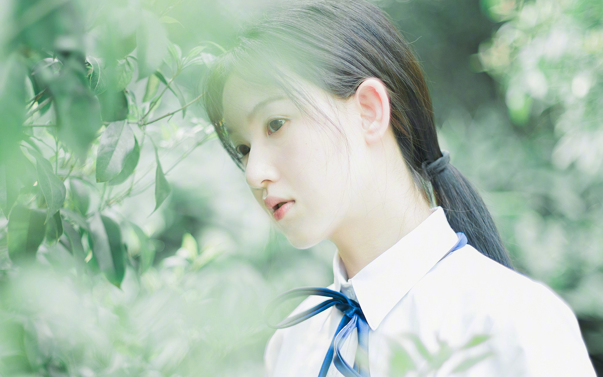 西决生死战之夜，切特进攻端无人可挡