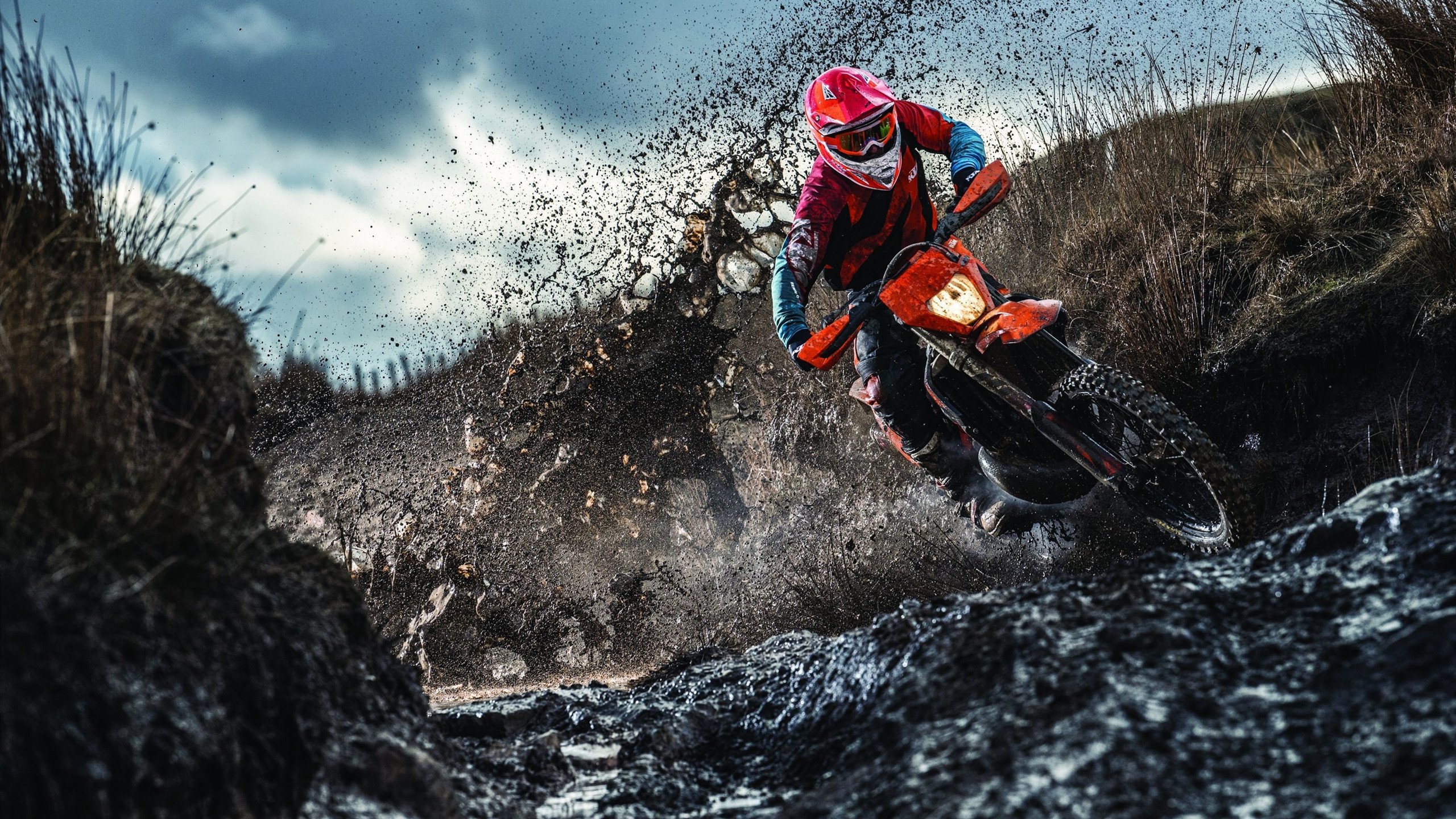 绿茵场与乒乓台的双重奏，法国队险胜德国队，马龙关键制胜的启示